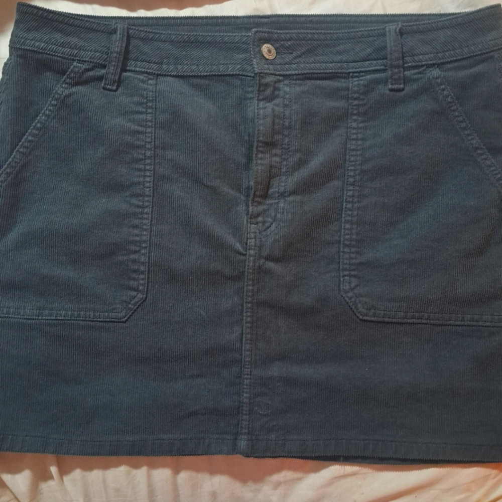 American Eagle Skirt Size 16 stretch Brand New